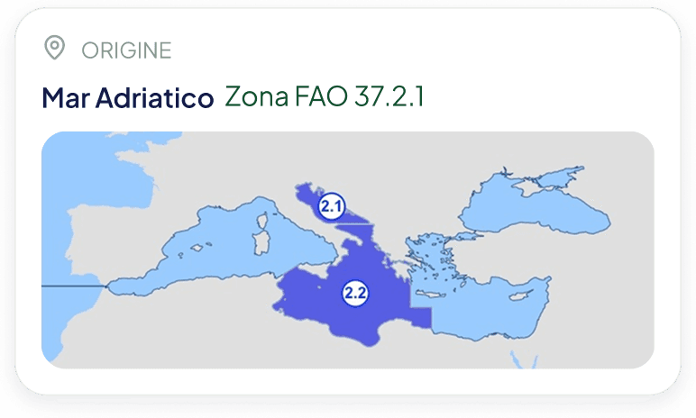 La card Origine nell'app: Mar Adriatico, zona FAO 37.2.1, con la mappa del Mediterraneo
