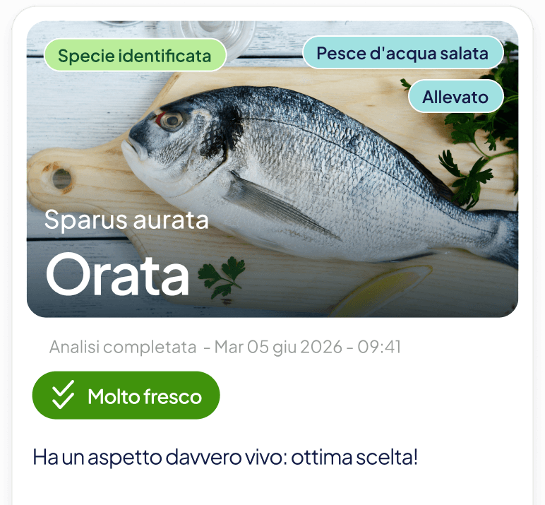 La card di apertura nell'app: specie identificata, orata, pesce d'acqua salata, allevato, con il responso «Molto fresco»